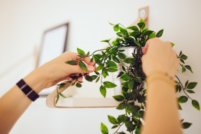 Guía práctica: aprende a hacer Home Staging en Valencia