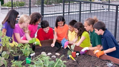 Un oasis verde en tiempos de cambio: Los huertos urbanos
