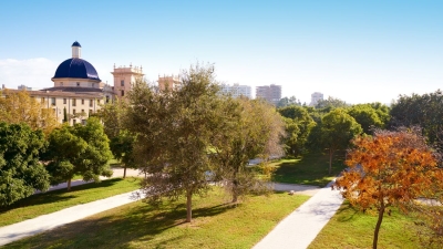 Ventajas de trabajar con una inmobiliaria en Valencia