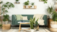 Cómo crear un ambiente acogedor en tu sala de estar para las noches de invierno